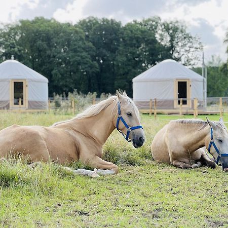 Magnolia Hoeve - Unieke Bestemming Voor Paardenliefhebbers En Bijzondere Overnachtingen In De Natuur Ledeacker 외부 사진