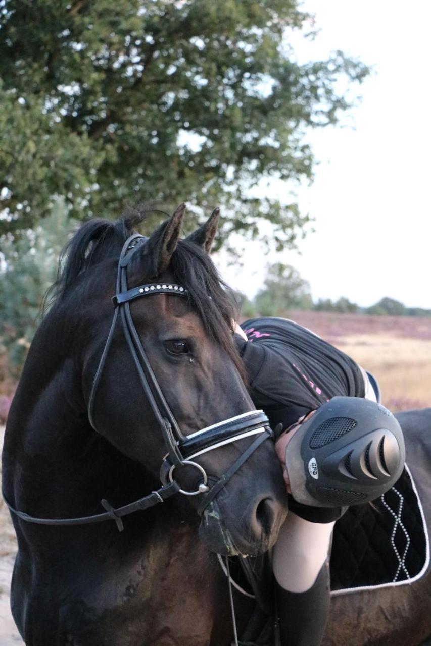 Magnolia Hoeve - Unieke Bestemming Voor Paardenliefhebbers En Bijzondere Overnachtingen In De Natuur Ledeacker 외부 사진