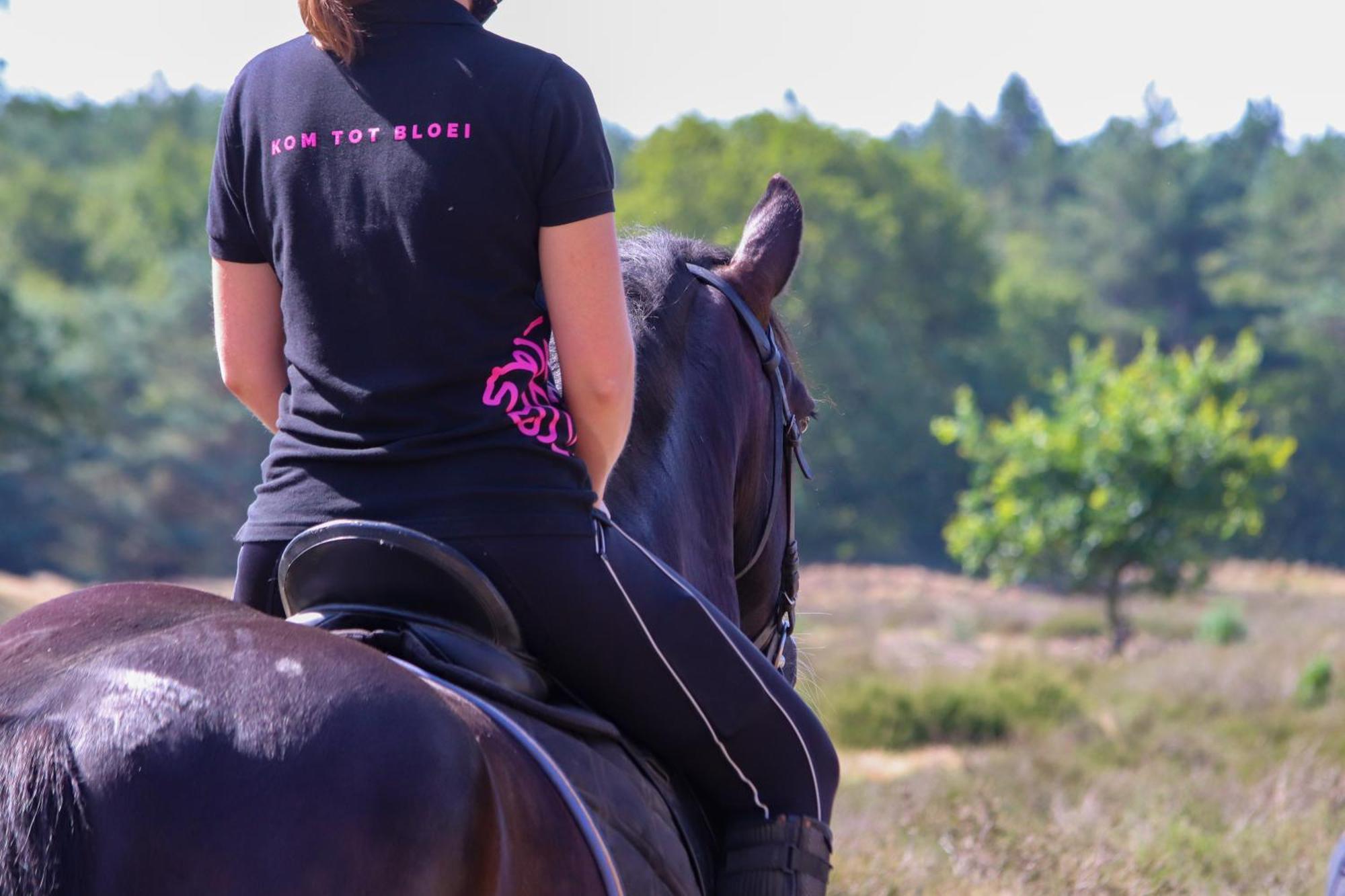 Magnolia Hoeve - Unieke Bestemming Voor Paardenliefhebbers En Bijzondere Overnachtingen In De Natuur Ledeacker 외부 사진