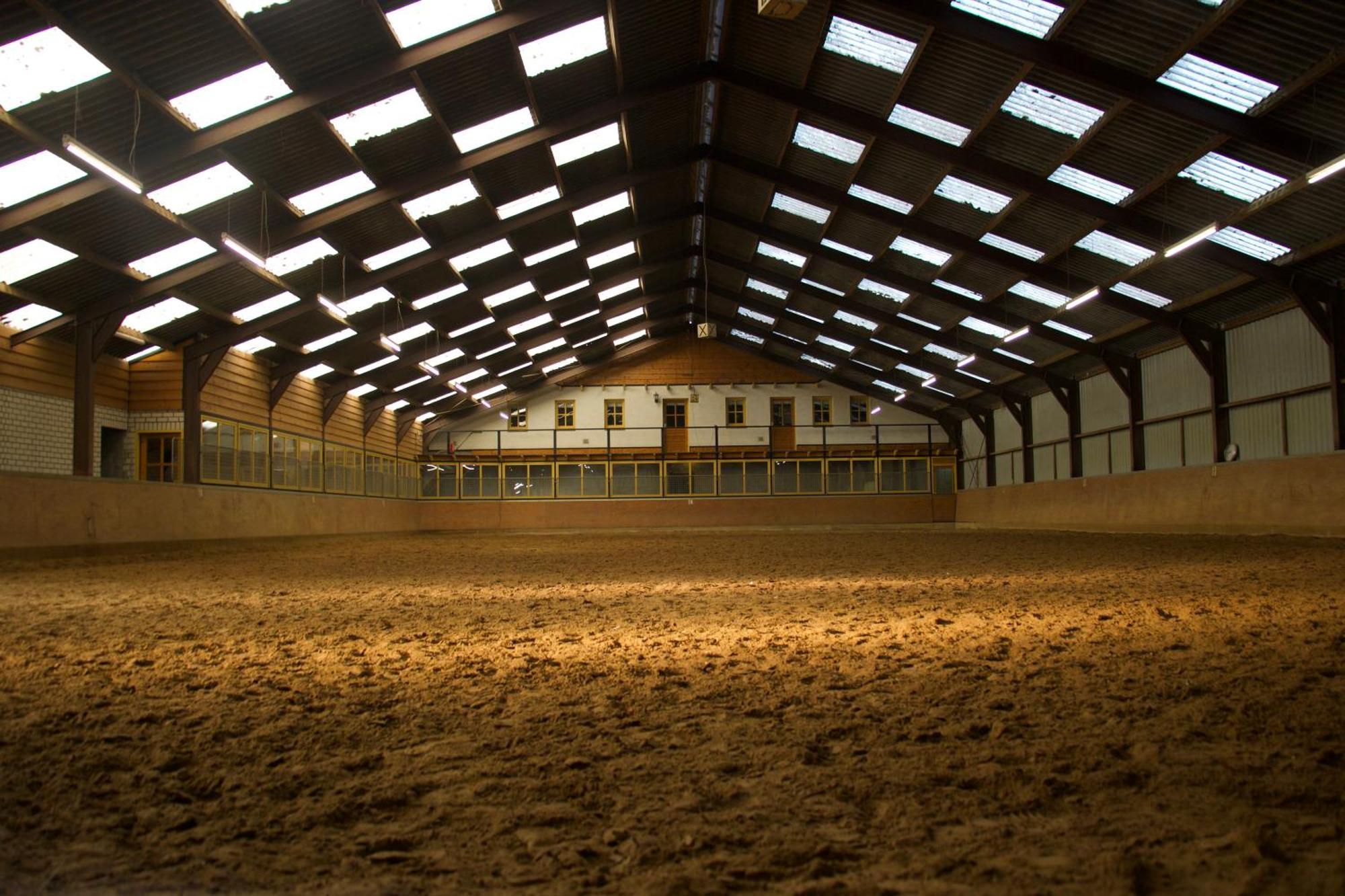 Magnolia Hoeve - Unieke Bestemming Voor Paardenliefhebbers En Bijzondere Overnachtingen In De Natuur Ledeacker 외부 사진