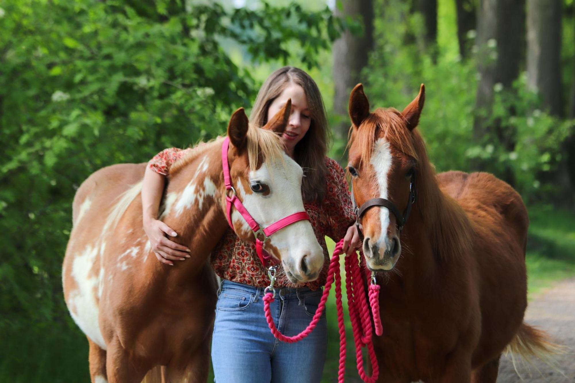 Magnolia Hoeve - Unieke Bestemming Voor Paardenliefhebbers En Bijzondere Overnachtingen In De Natuur Ledeacker 외부 사진