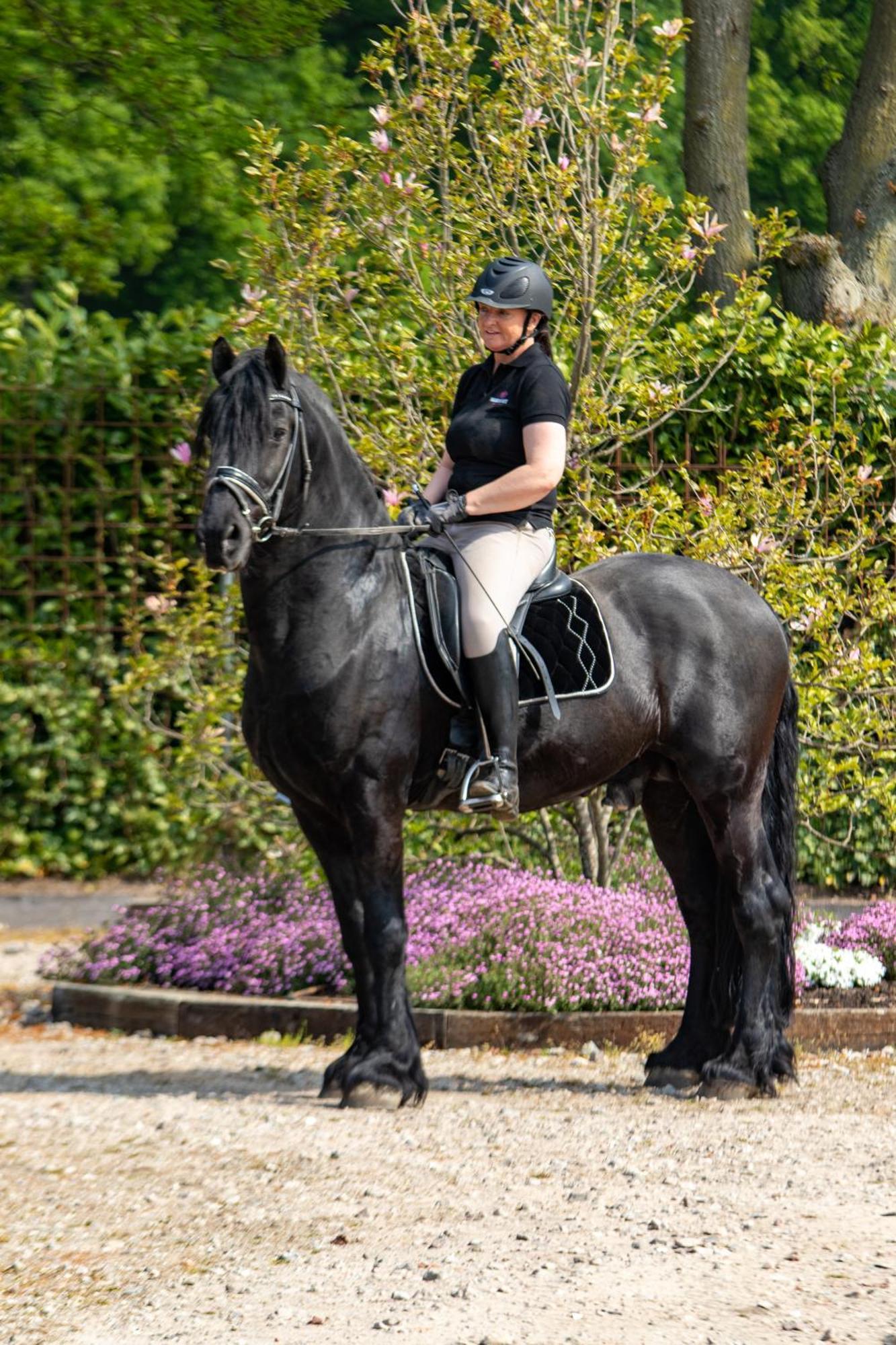 Magnolia Hoeve - Unieke Bestemming Voor Paardenliefhebbers En Bijzondere Overnachtingen In De Natuur Ledeacker 외부 사진