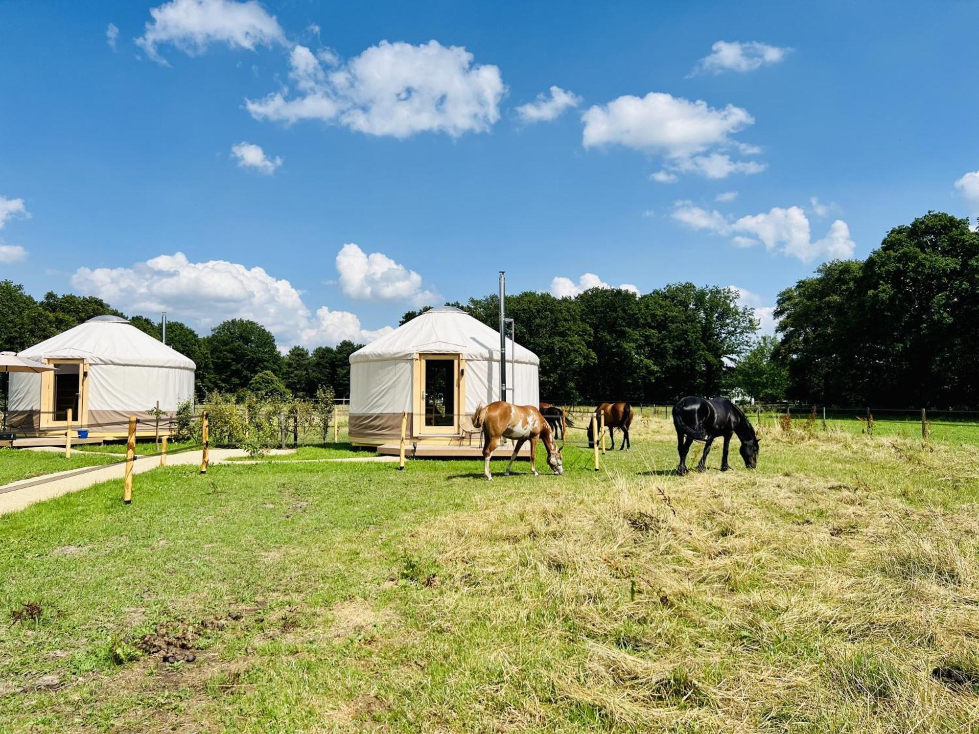 Magnolia Hoeve - Unieke Bestemming Voor Paardenliefhebbers En Bijzondere Overnachtingen In De Natuur Ledeacker 외부 사진