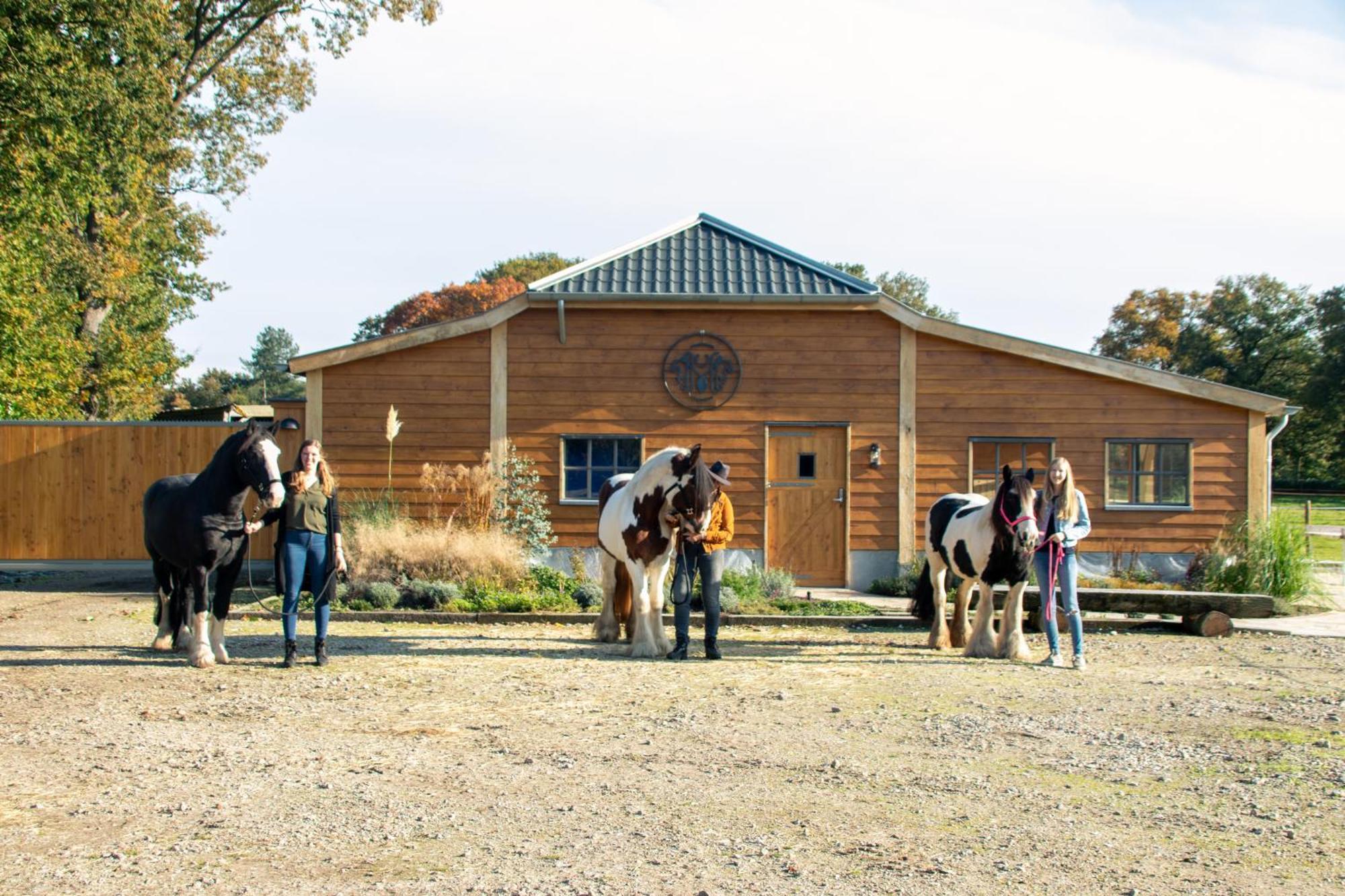 Magnolia Hoeve - Unieke Bestemming Voor Paardenliefhebbers En Bijzondere Overnachtingen In De Natuur Ledeacker 외부 사진