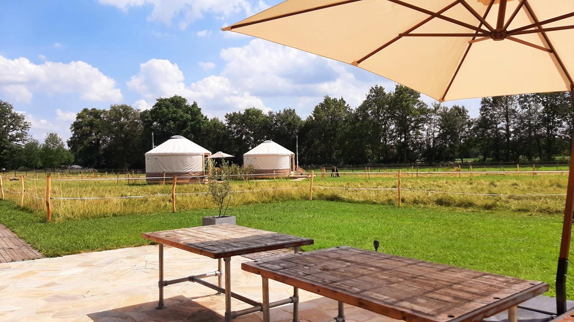 Magnolia Hoeve - Unieke Bestemming Voor Paardenliefhebbers En Bijzondere Overnachtingen In De Natuur Ledeacker 외부 사진