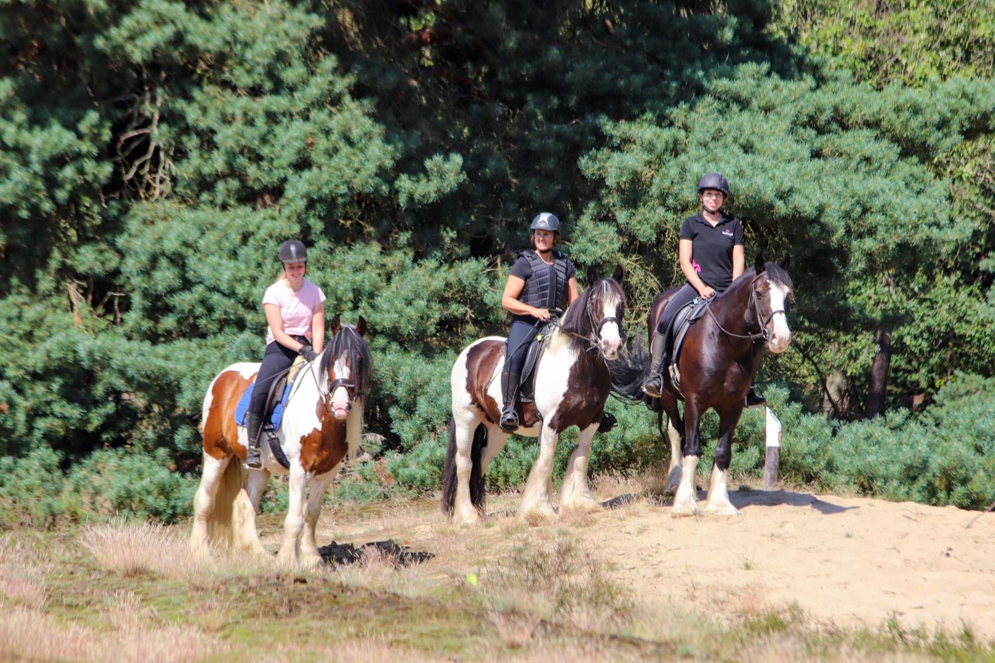 Magnolia Hoeve - Unieke Bestemming Voor Paardenliefhebbers En Bijzondere Overnachtingen In De Natuur Ledeacker 외부 사진