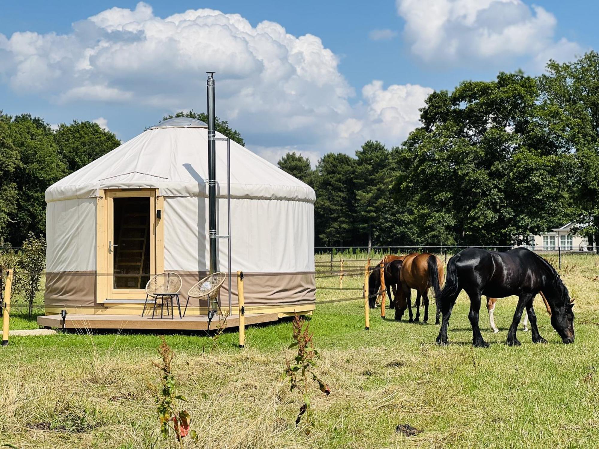 Magnolia Hoeve - Unieke Bestemming Voor Paardenliefhebbers En Bijzondere Overnachtingen In De Natuur Ledeacker 외부 사진