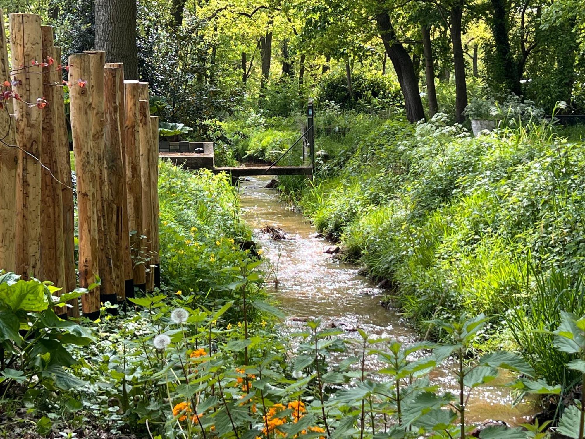 Magnolia Hoeve - Unieke Bestemming Voor Paardenliefhebbers En Bijzondere Overnachtingen In De Natuur Ledeacker 외부 사진